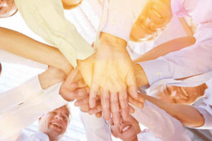 Belbin'S Team Roles Training Course in Tanzania