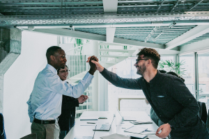 Building And Leading High-Performance Teams Training Course in Tanzania
