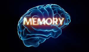 Memory Mastery Training Course Tanzania